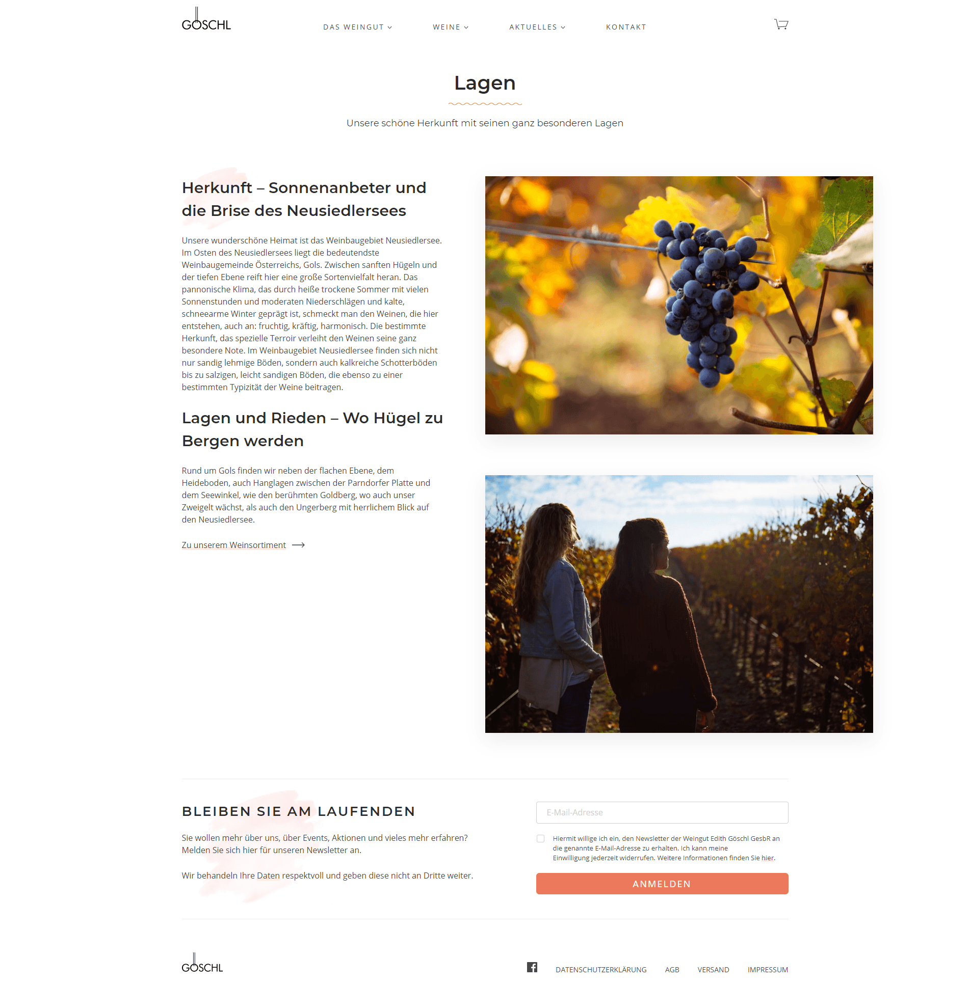 Weingut Göschl Website Preview